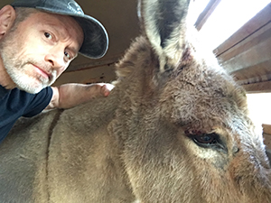 Donkey Reduced